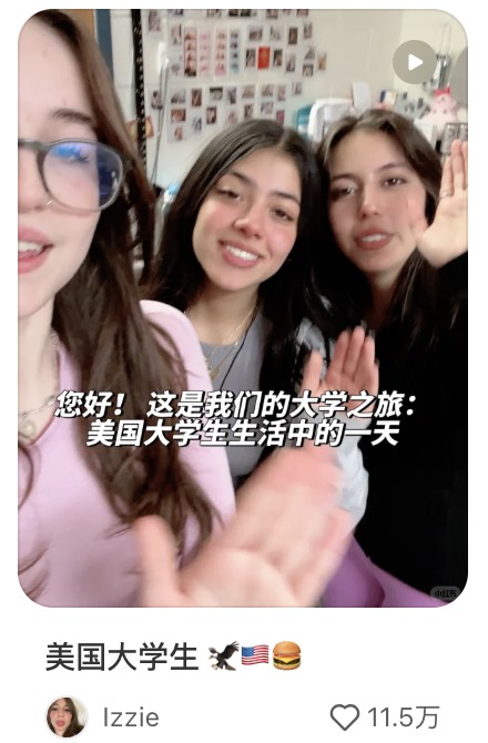 american tiktok refugee🇺🇸🇺🇸🇺🇸🇺🇸 19