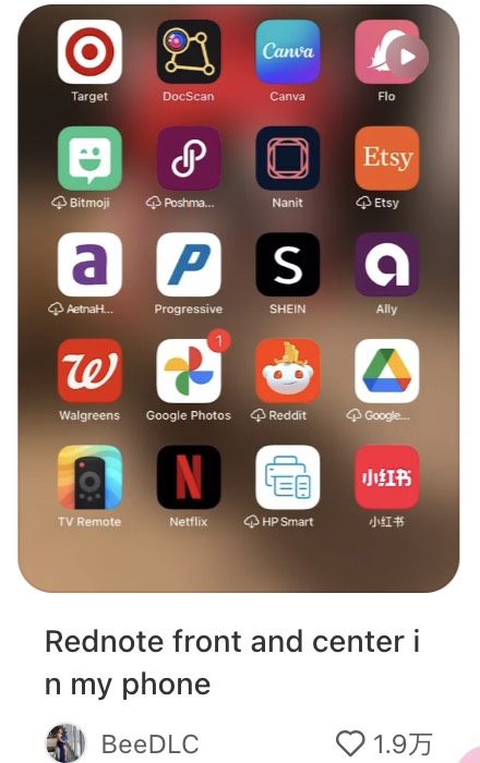 TikTok refugee Latina, New to motherhood, trapped in the American hellhole